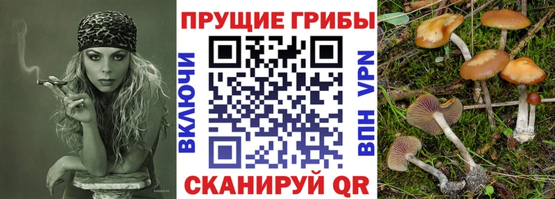 Галлюциногенные грибы мухоморы  Моздок 